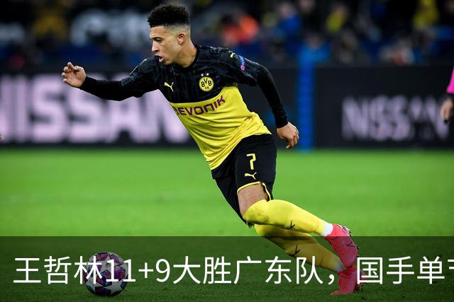 王哲林11+9大胜广东队，国手单节5记三分，核心外援12中1