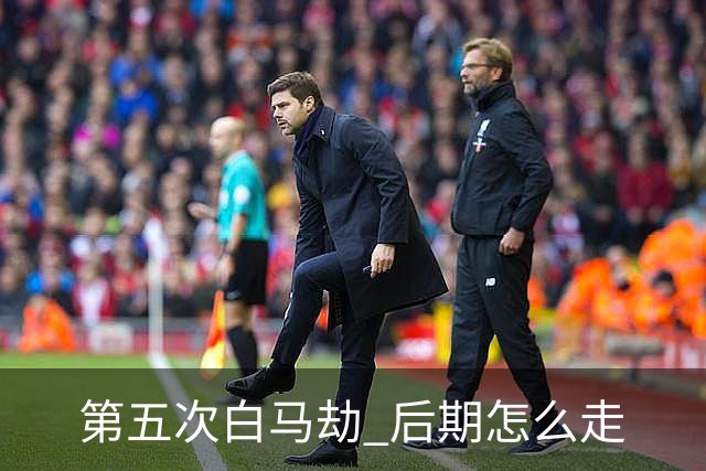 第五次"白马劫" 后期怎么走