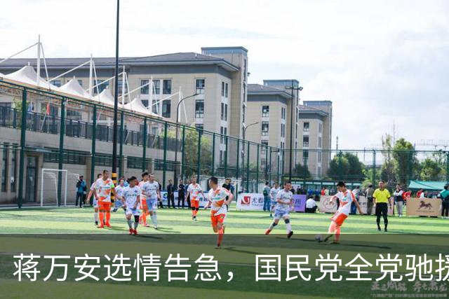 蒋万安选情告急，国民党全党驰援，这两蓝委加入竞总担任总干事