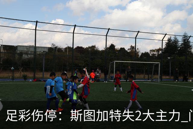 足彩伤停：斯图加特失2大主力 门兴多达8人缺阵