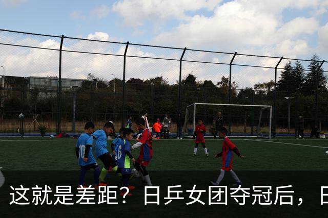 这就是差距？日乒女团夺冠后，日媒一针见血，指出中国队输球原因