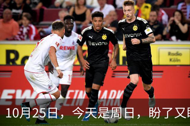 10月25日，今天是周日，盼了又盼的2026年养老金调整通知，终归到如今还是没有如人所愿