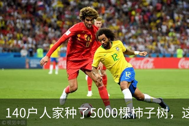 140户人家种了5000棵柿子树，这个浙江小村国庆6天来了8万人