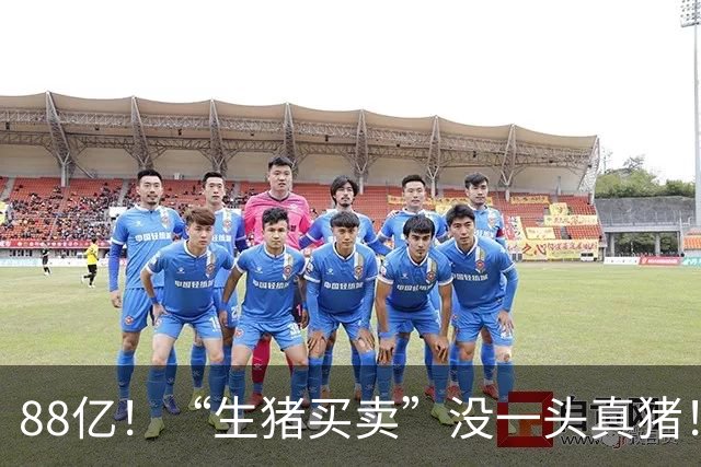 88亿！“生猪买卖”没一头真猪！空手套白狼，国企巨款全被挪走？